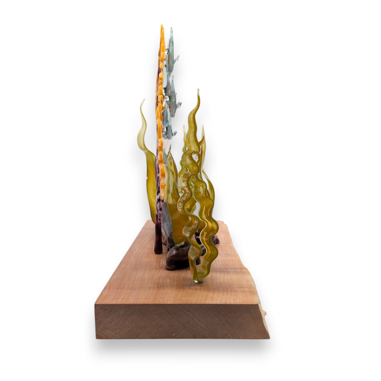 Marine Sculpture - Fan Coral with Kelp