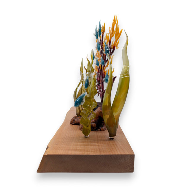 Marine Sculpture - Fan Coral with Kelp