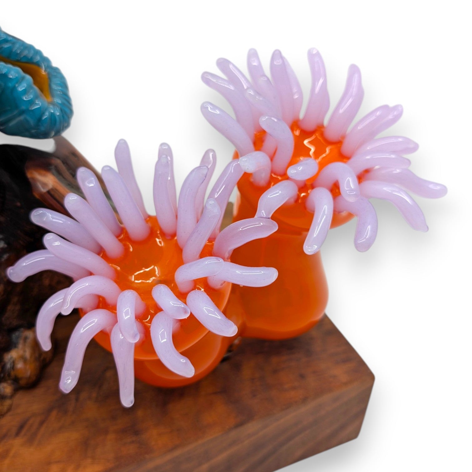 Marine Sculpture - Anemone and Clownfish