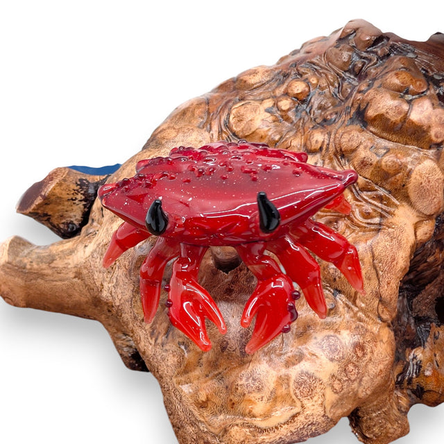 Marine Sculpture - Anemone and Clownfish