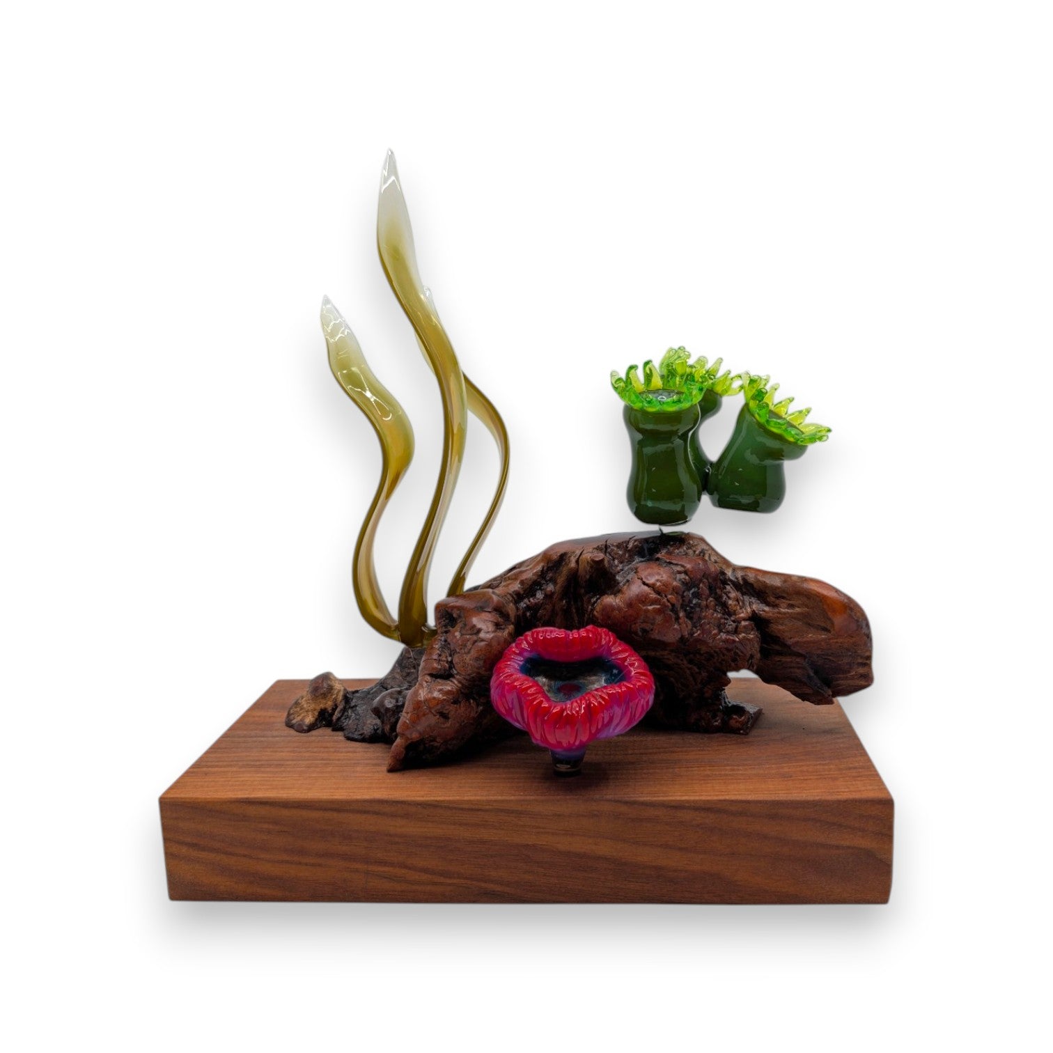 Marine Sculpture - Kelp and Anemone
