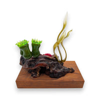 Marine Sculpture - Kelp and Anemone