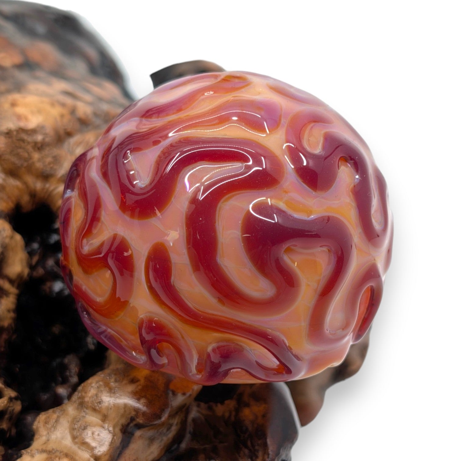 Marine Sculpture - Fan Coral and Angelfish