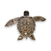 Baby Turtle
