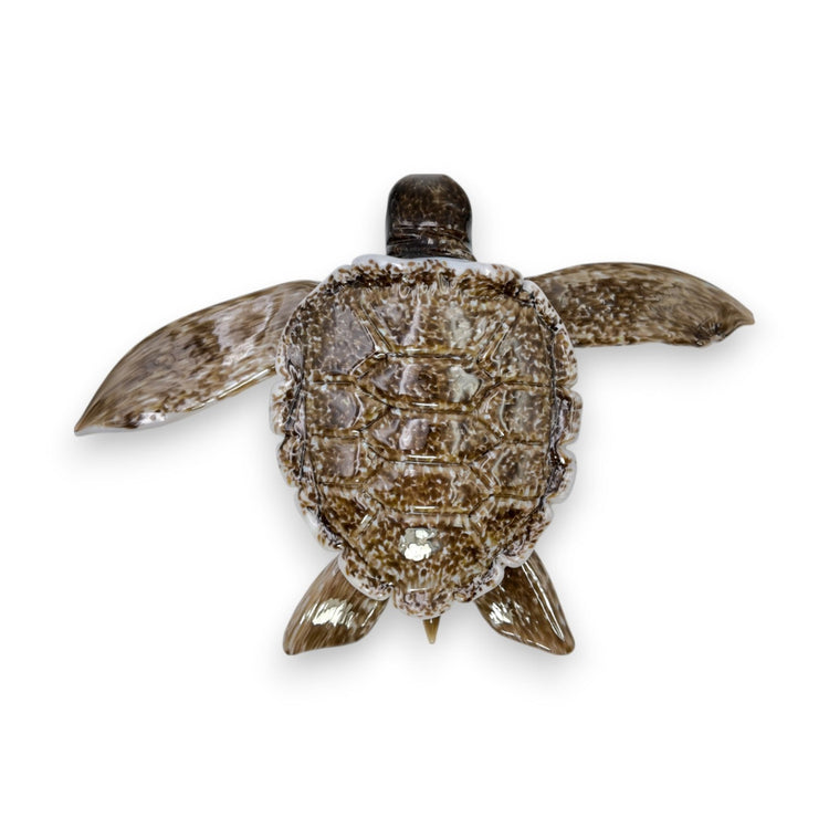 Baby Turtle