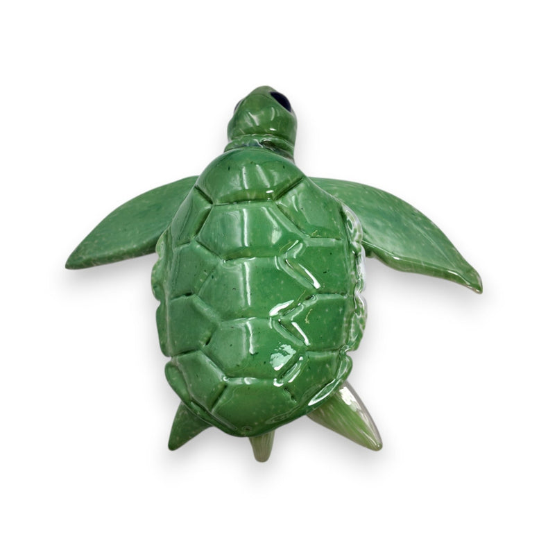 Baby Turtle