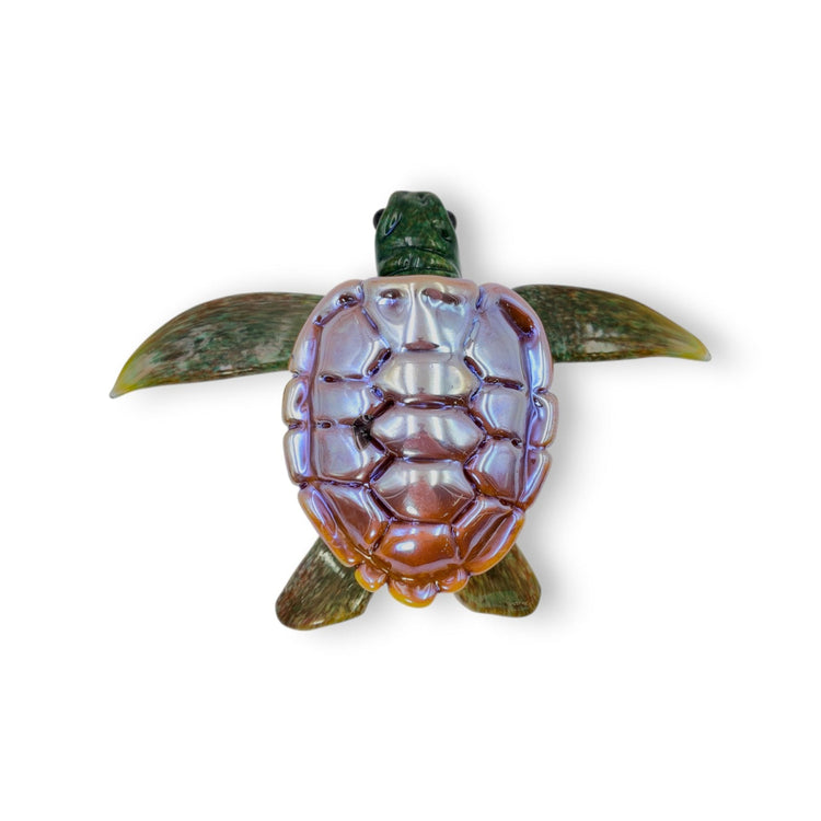 Baby Turtle