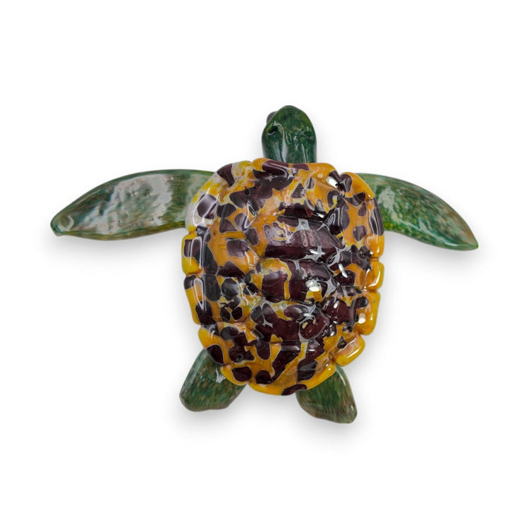 Baby Turtle