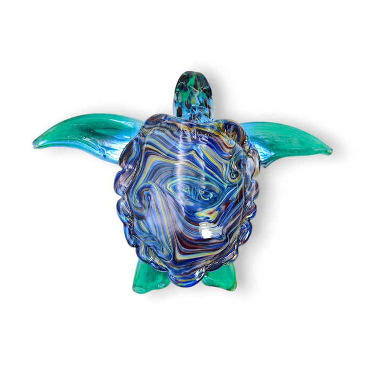 Baby Turtle