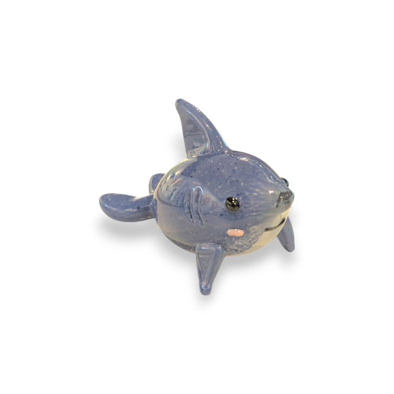 Shark Pal