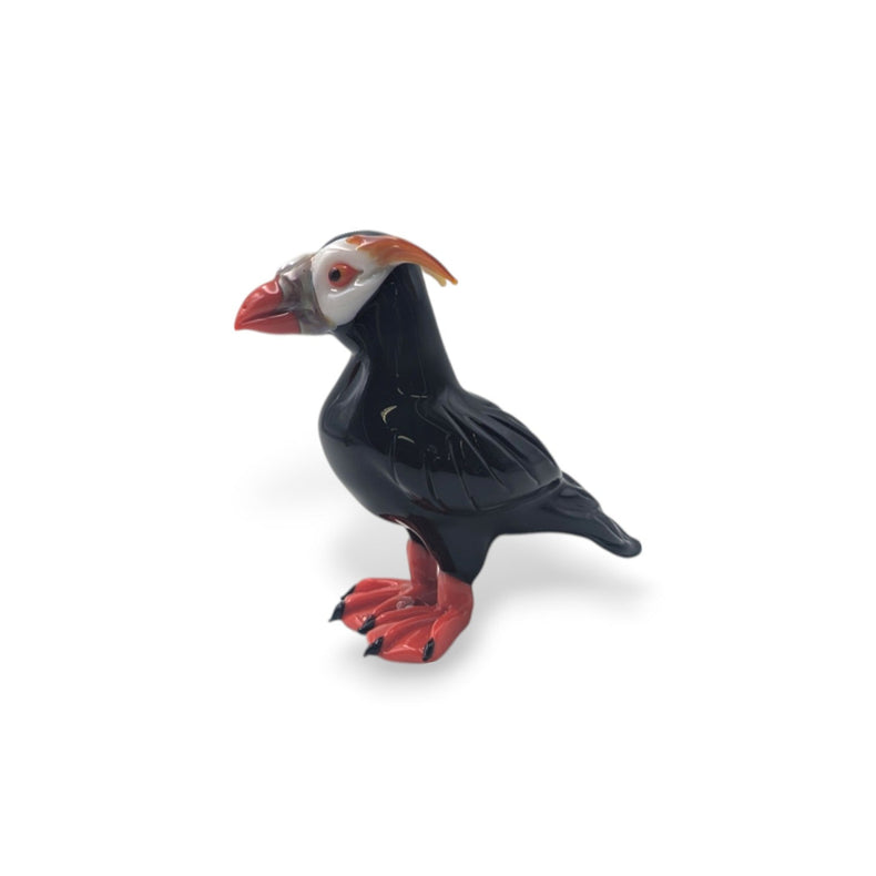 Puffin