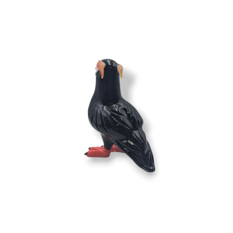 Puffin