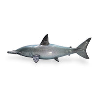 Hammerhead Shark