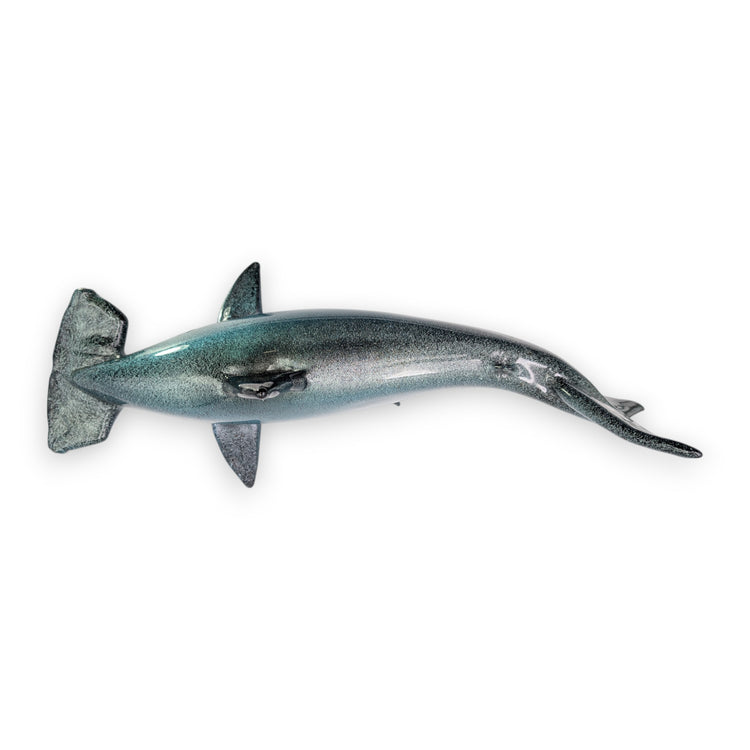 Hammerhead Shark
