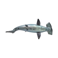 Hammerhead Shark