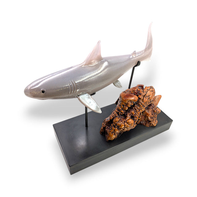 Great White Shark on base