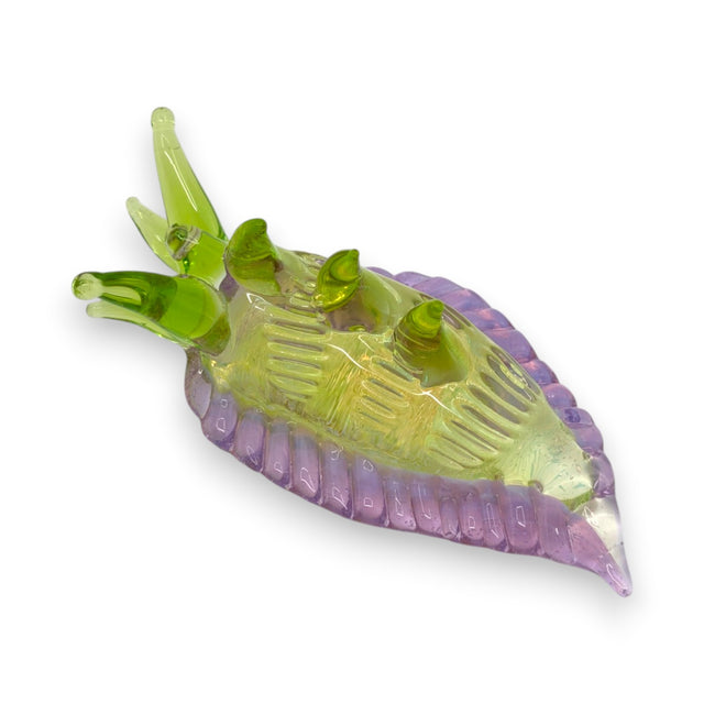 Sea Slug