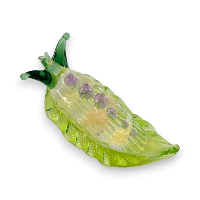 Sea Slug
