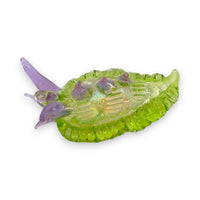 Sea Slug
