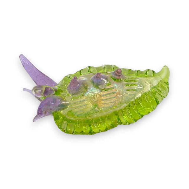 Sea Slug