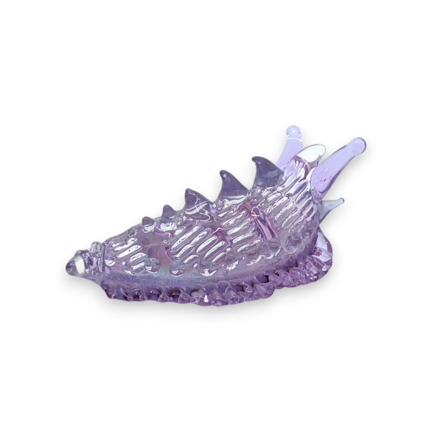 Sea Slug
