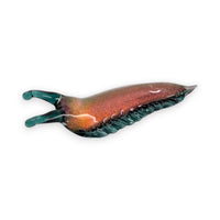 Dichroic Slug