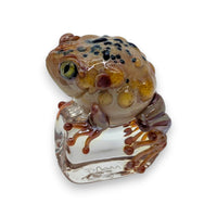 Toad on Ice