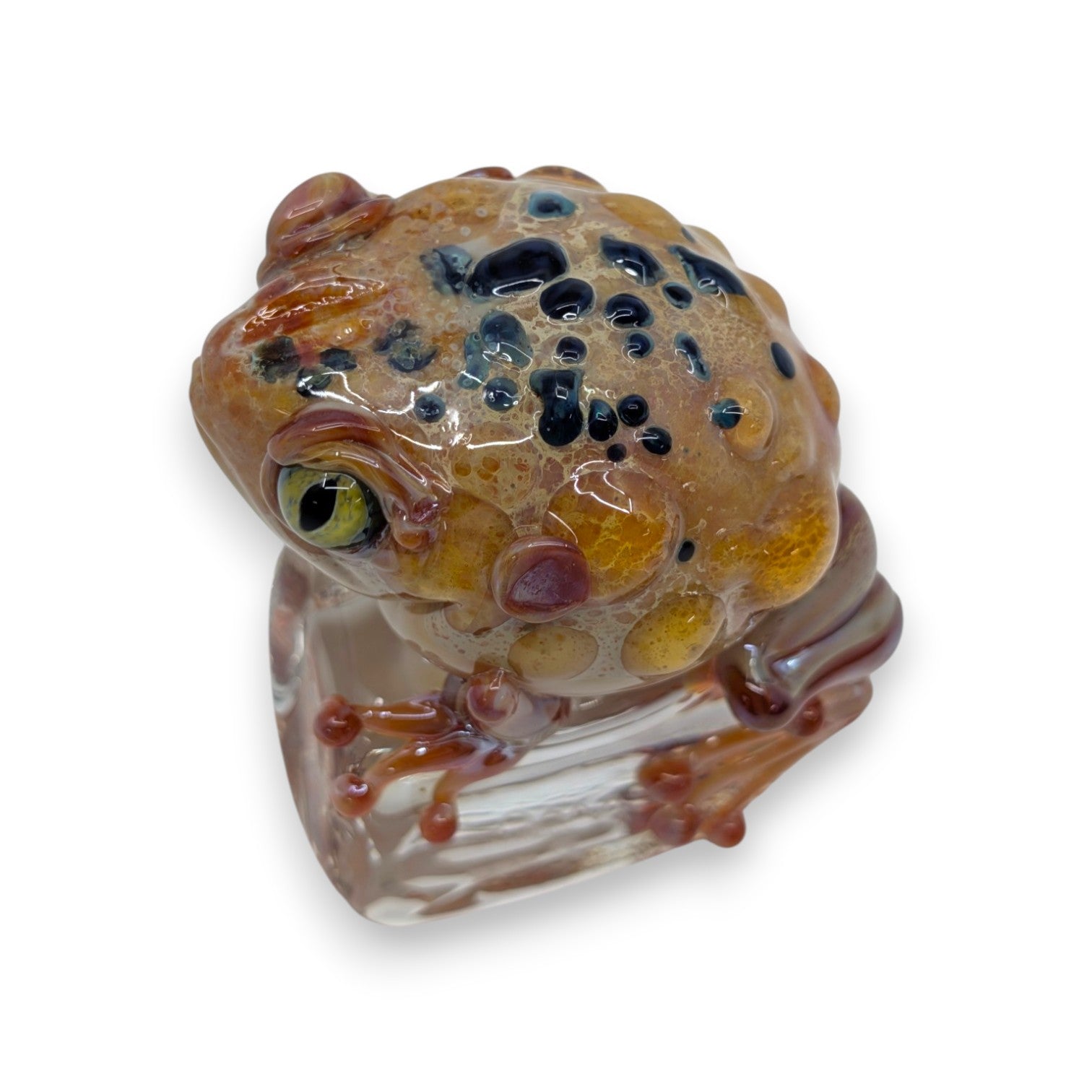 Toad on Ice