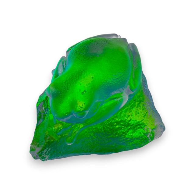 Spring Frog
