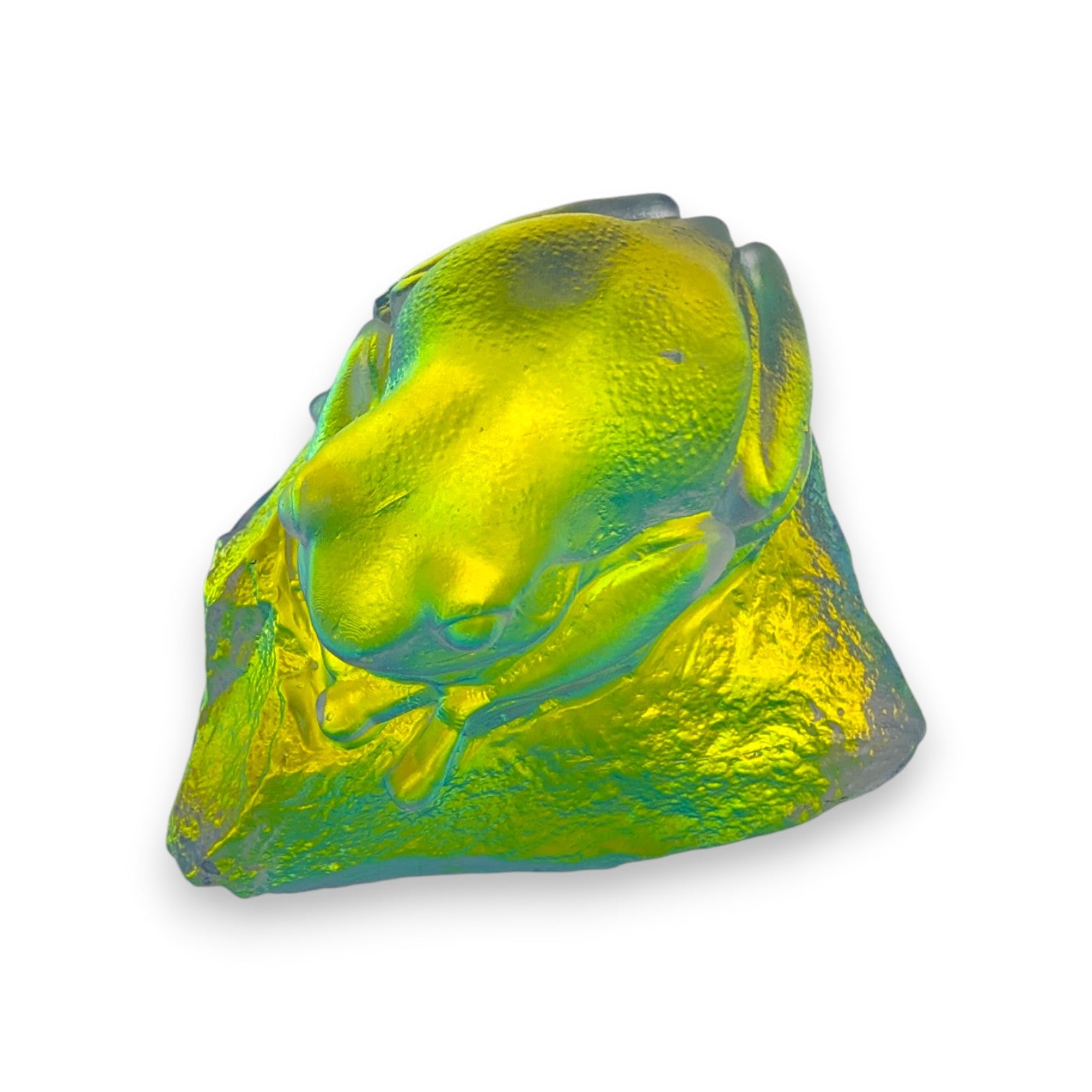 Spring Frog