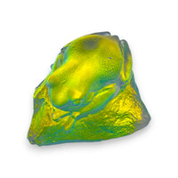 Spring Frog