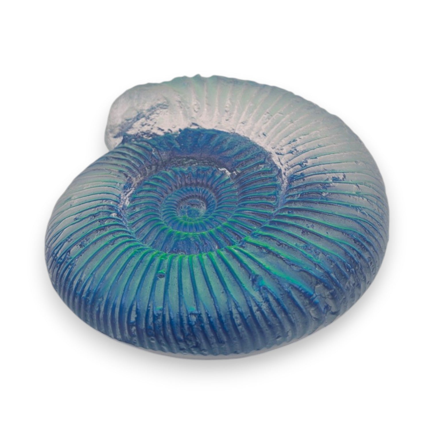 Aural Ammonite