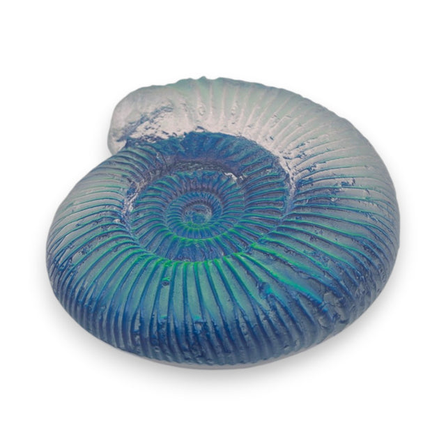 Aural Ammonite