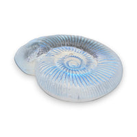 Aural Ammonite