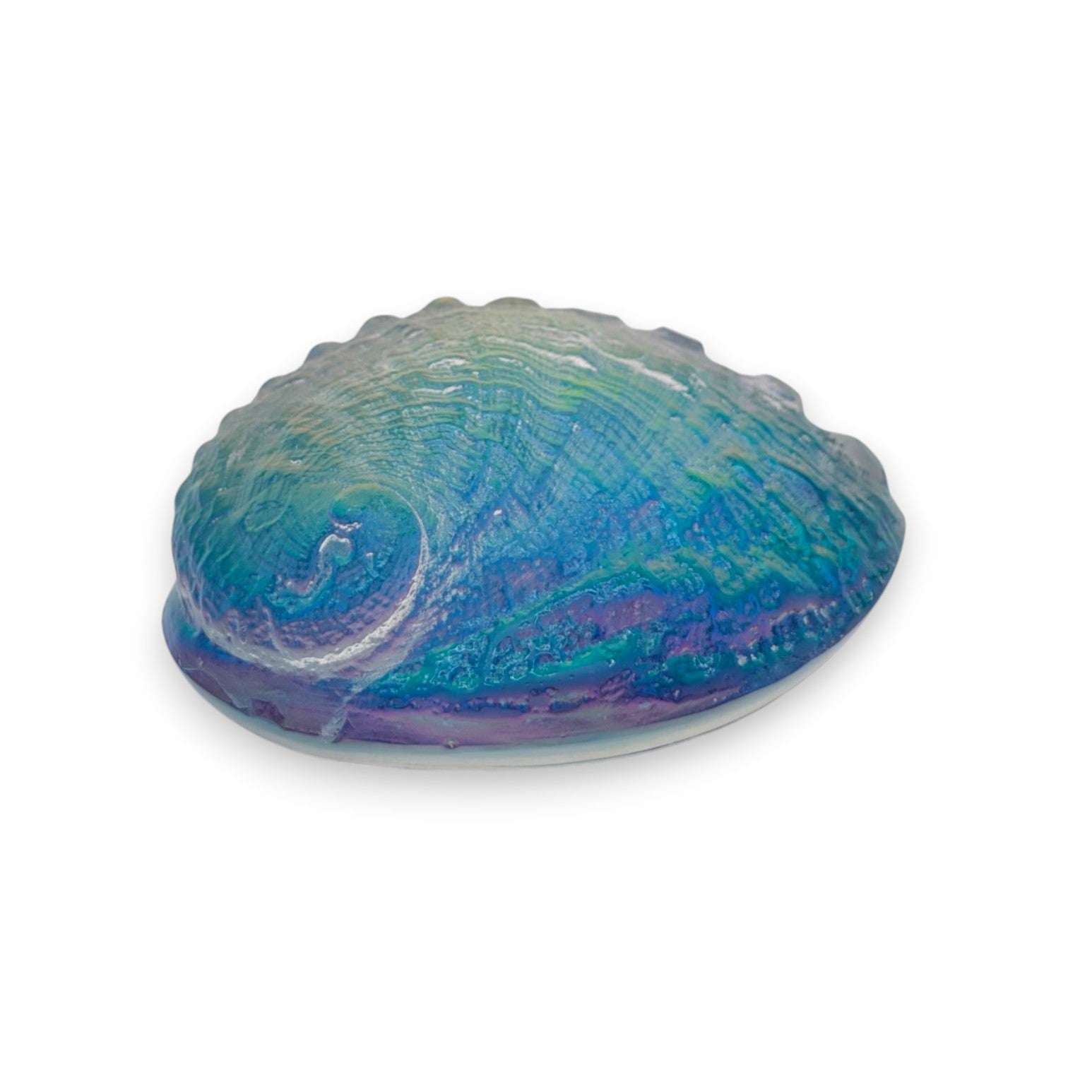 Aural Abalone Small