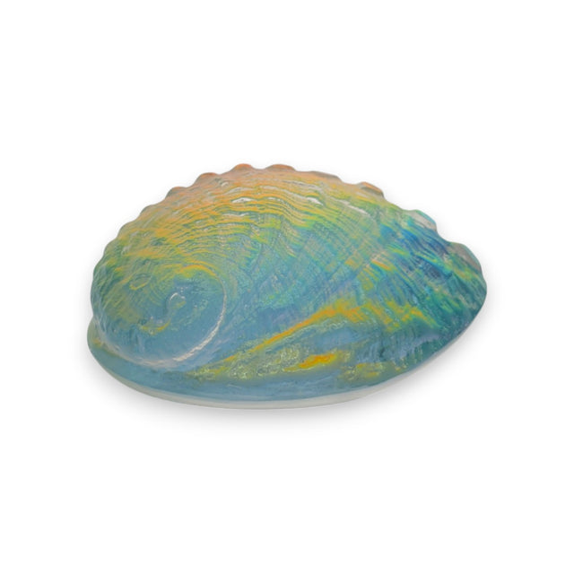 Aural Abalone Small