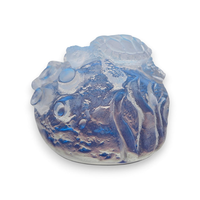 Aural Reef Sea Turtle