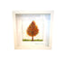 Framed Nature