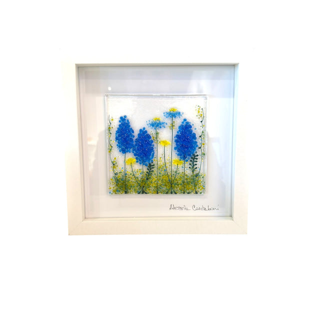 Framed Nature