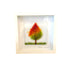 Framed Nature