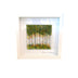Framed Nature