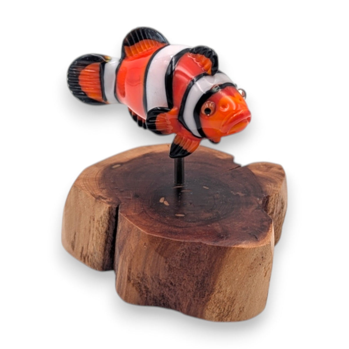 Clownfish