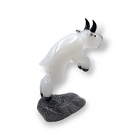 Mountain Goat