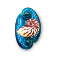 Nautilus Shell