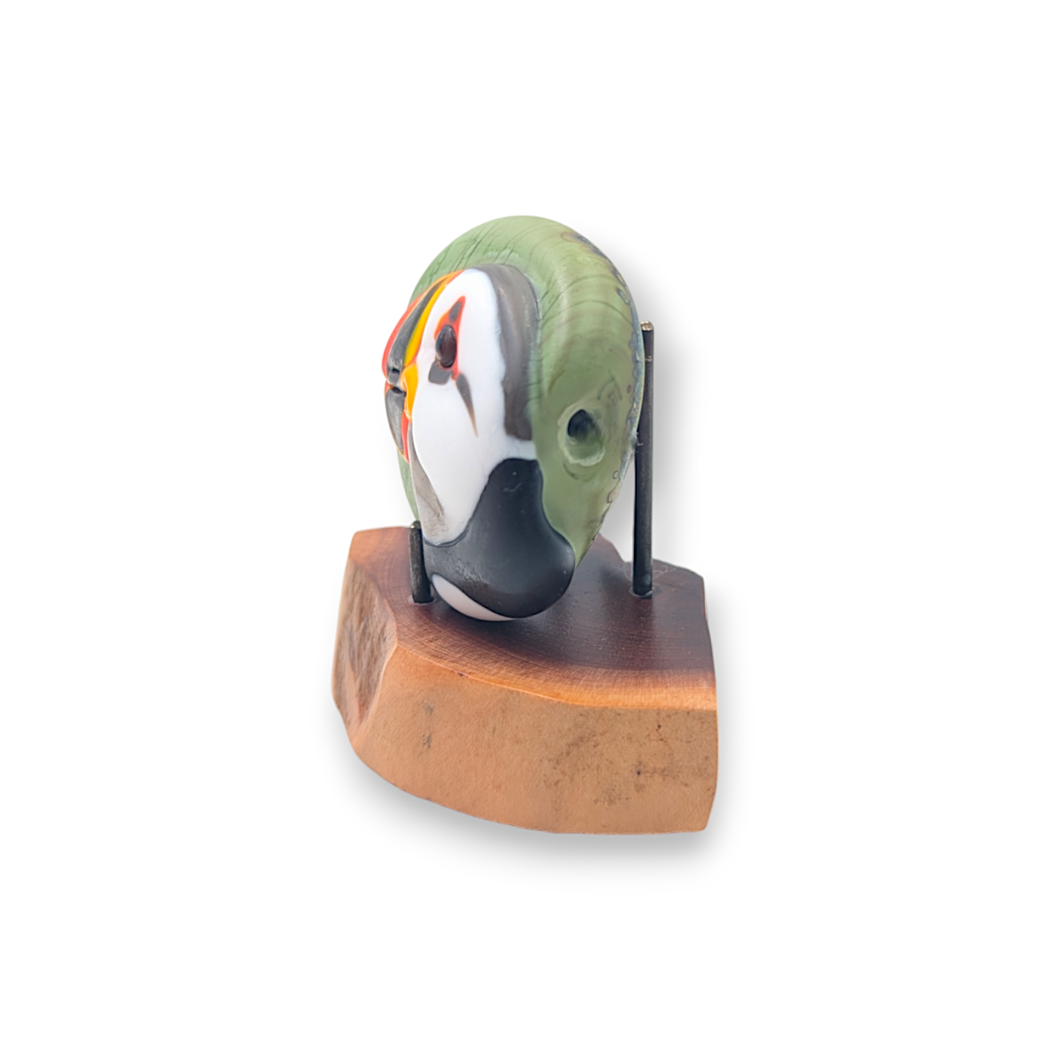 Puffin on Green