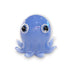 Big Eye Octopus