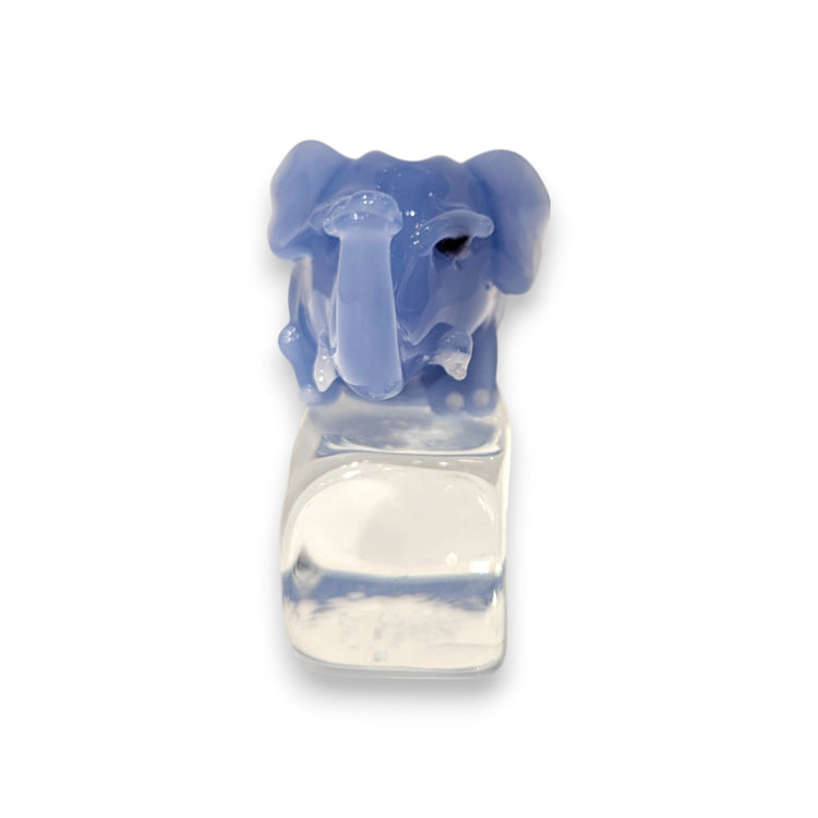 Elephant on Ice