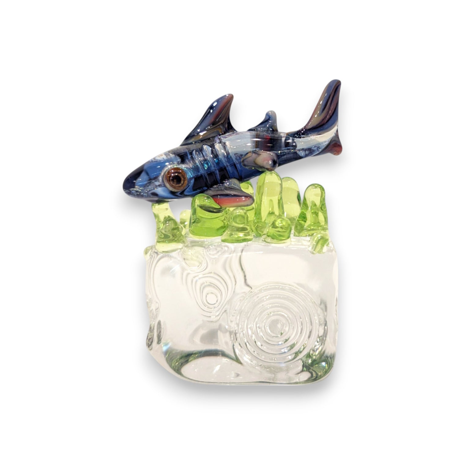 Shark on Ice