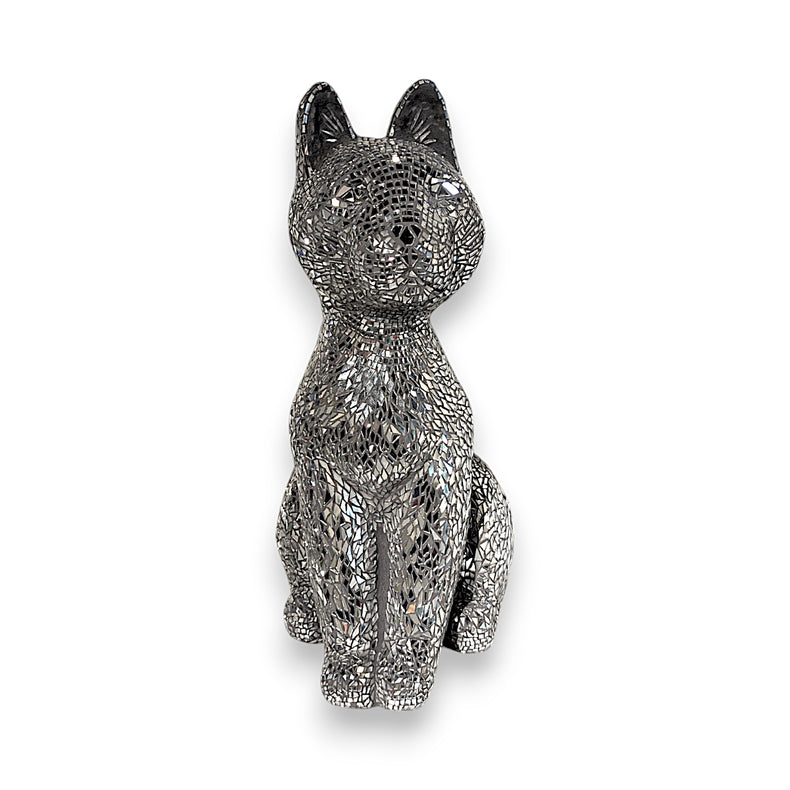 Disco Cat