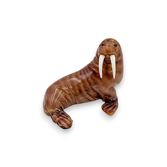 Walrus